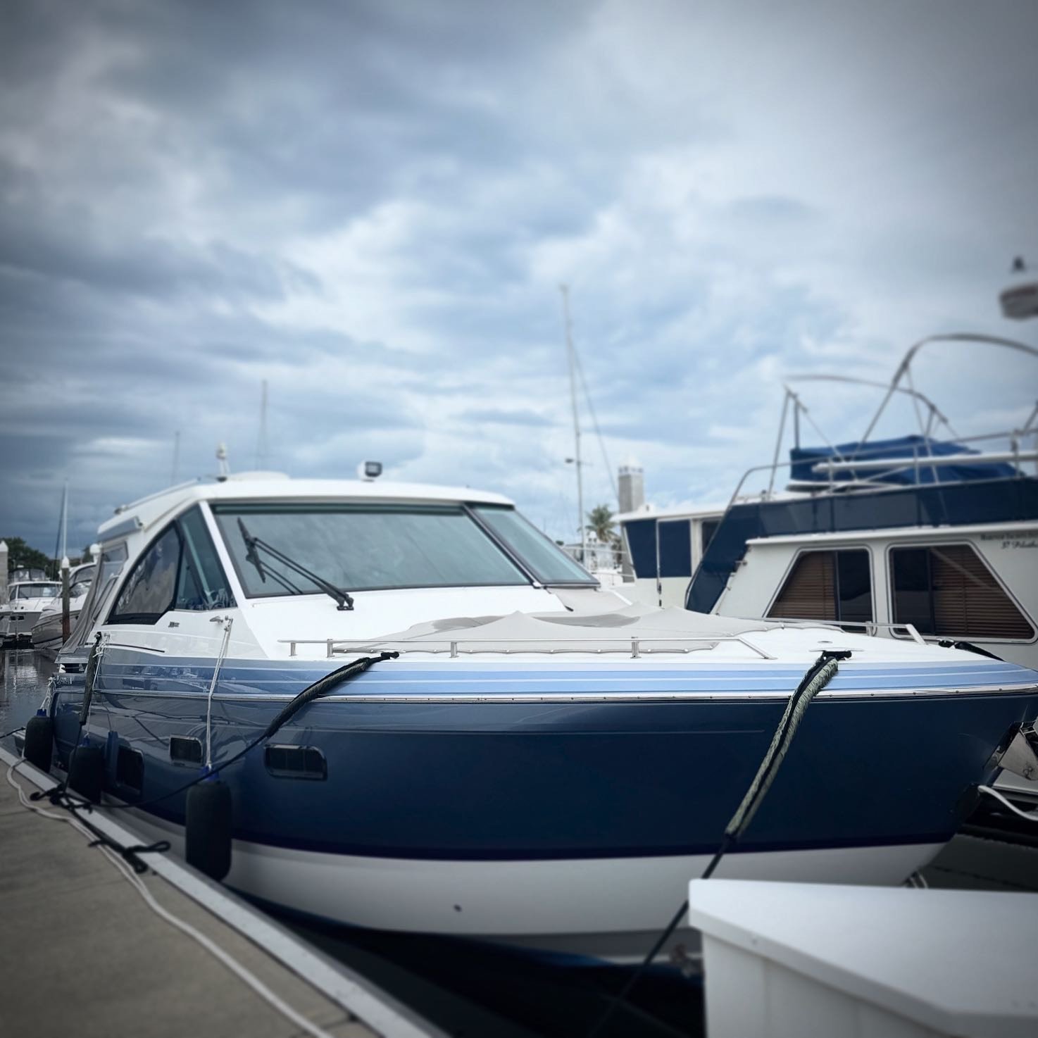 Row of white and blue motorboats docked at a marina under a cloudy sky